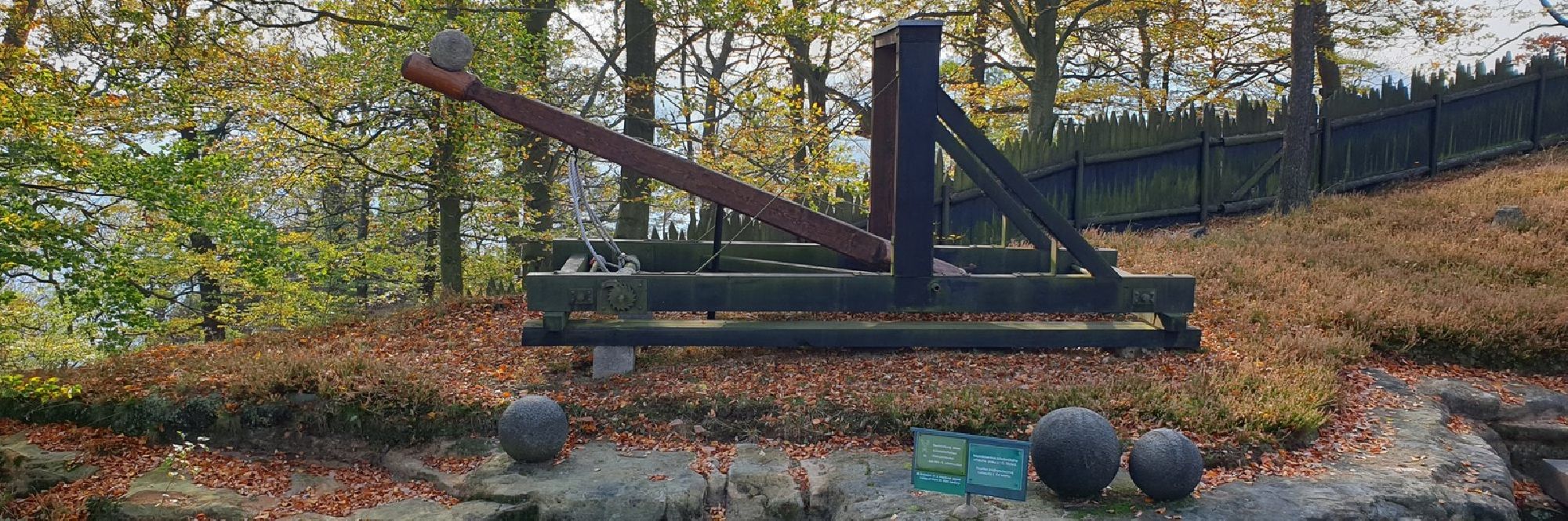 Steinschleuder