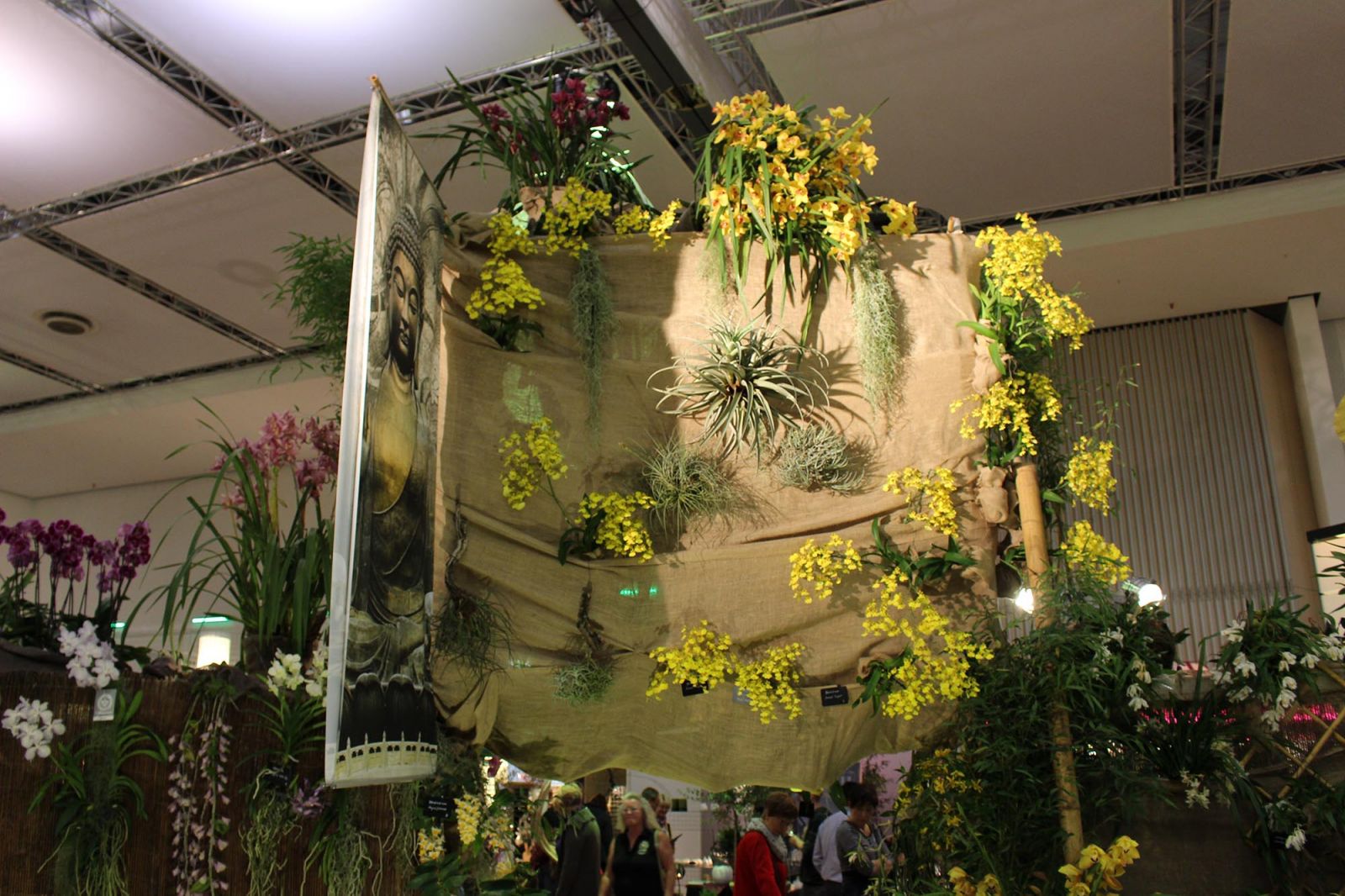 Ausstellung mit Orchideen zur Messe Dresdner Ostern